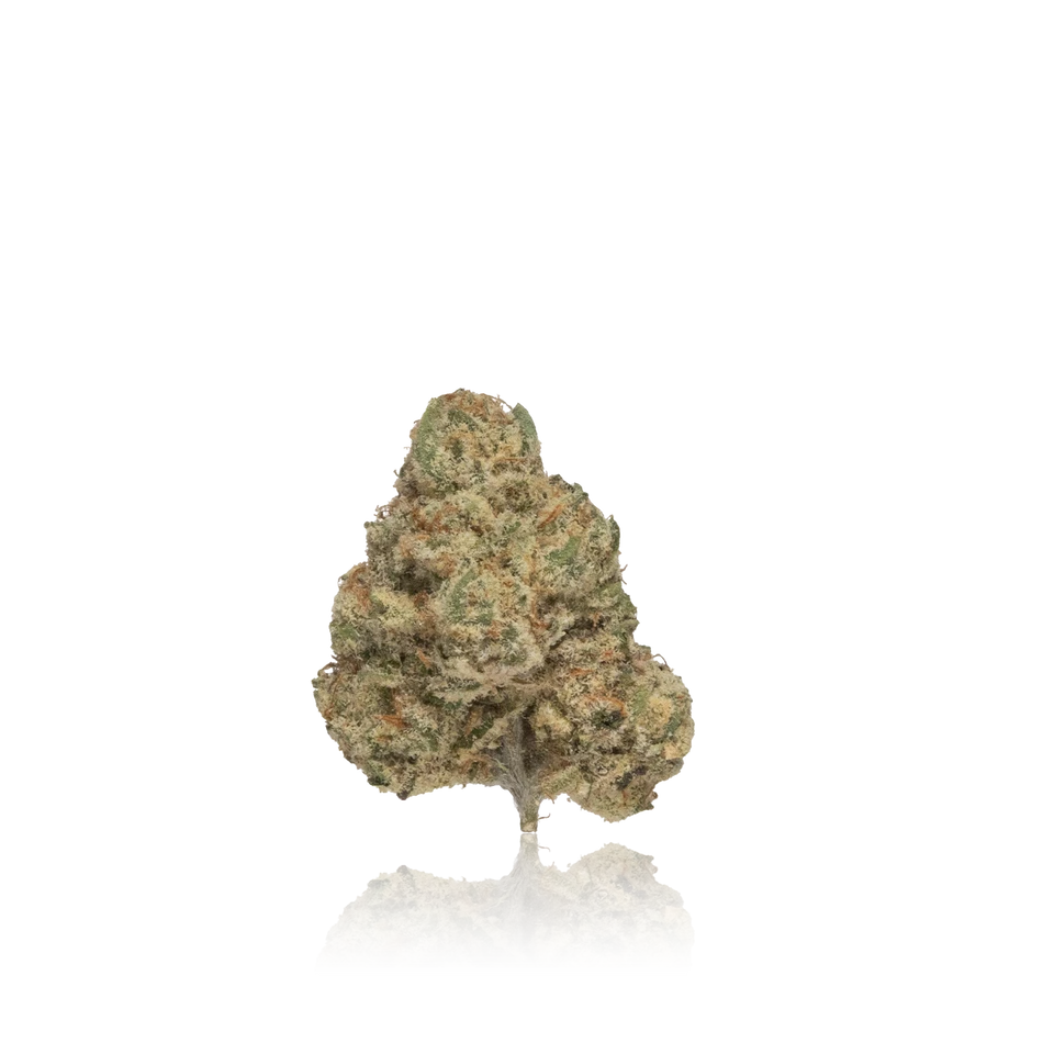 Premium Indoor FLower