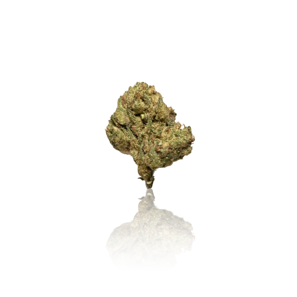 Premium Indoor Flower